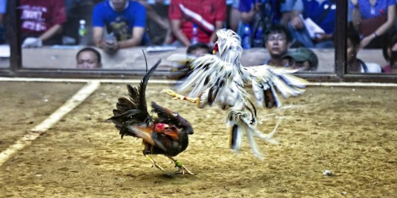 jun888 xổ số miền bắc hôm quả
