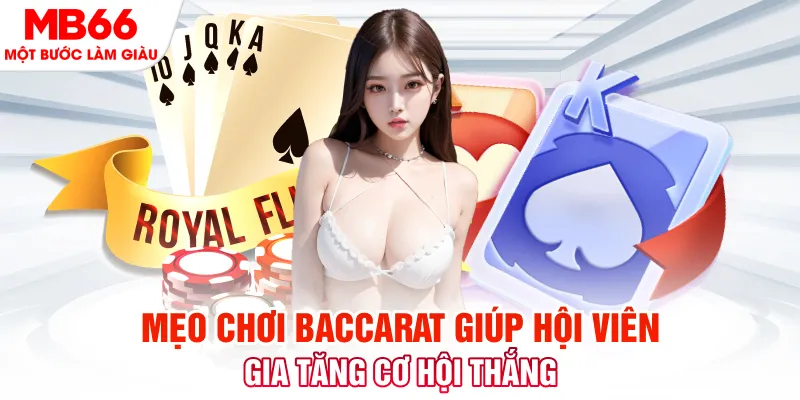 jun888 đá gà 88