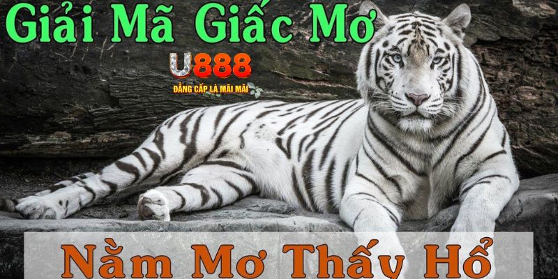 jun888 xổ số kiến thiết miền bắc