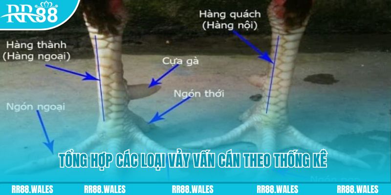 jun888 nổ hũ chơi như thế nào