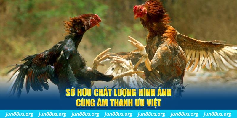 jun888 tai game danh bai ve may tinh