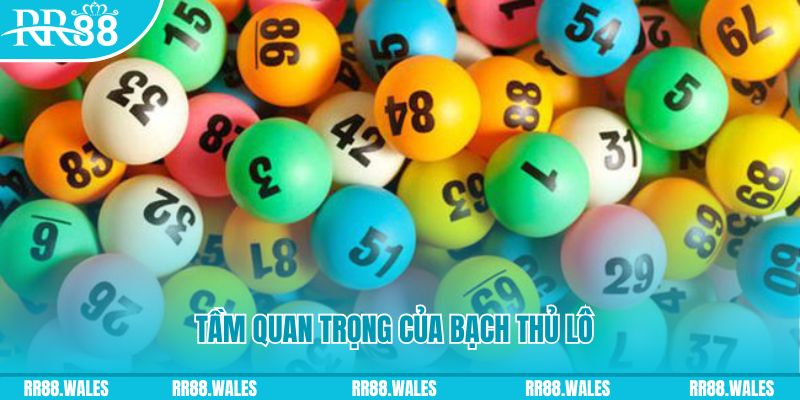 jun888 đá gà trực tiếp casino