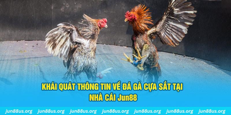 jun888 game bài trên máy tính